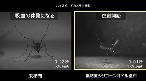 花王、肌表面を変えて蚊をよけられると発見　従来虫よけと違う方法で蚊に刺されることを防ぐ