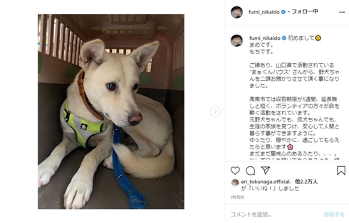 二階堂ふみ 保護犬 野犬 動物愛護 猫