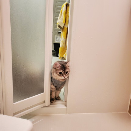 お風呂で寝ちゃったマリーちゃん