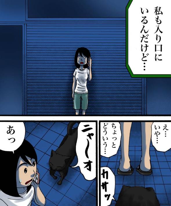 世にも奇妙な怖いやつ 会えない二人 漫画