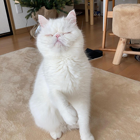 むーんってなってるお顔