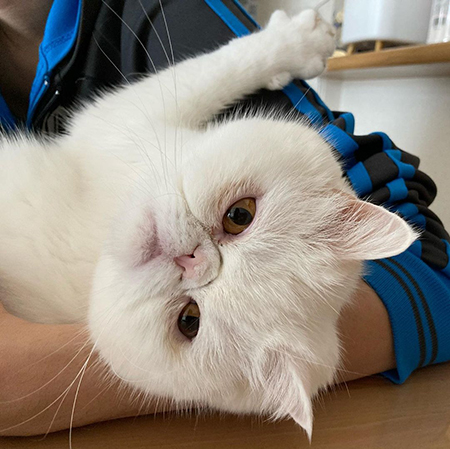 パパさんに抱っこしてもらうコロンくん