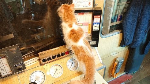 自作運転台