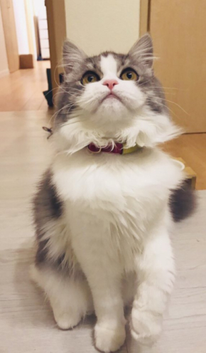 テミー＆どぅんたさん