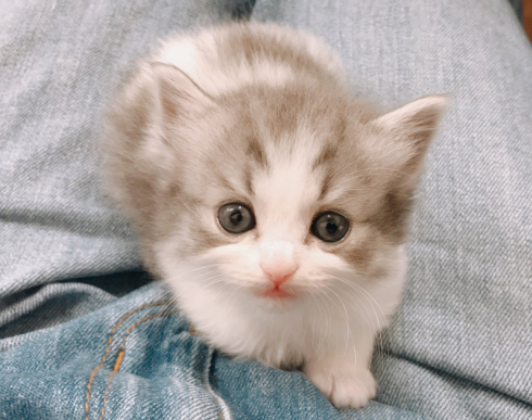 テミー＆どぅんたさん