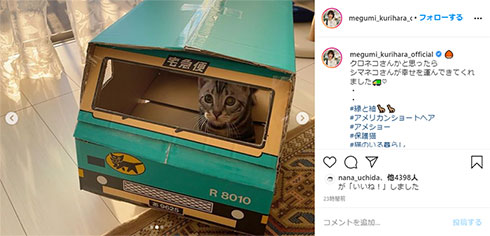 栗原恵 保護猫 クロネコヤマト