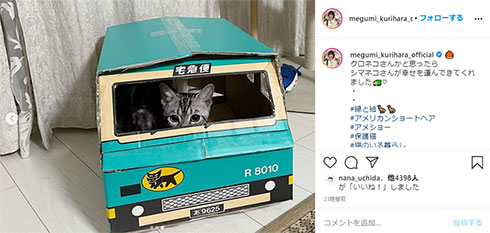 栗原恵 保護猫 クロネコヤマト