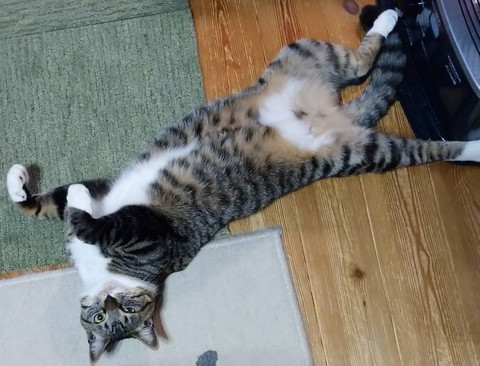 「あたたまりかた」