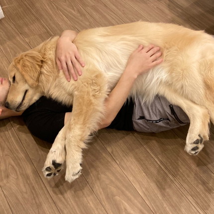 ぽち丸くんビフォーアフター