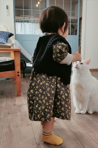 ナデナデしてほしい猫ちゃん