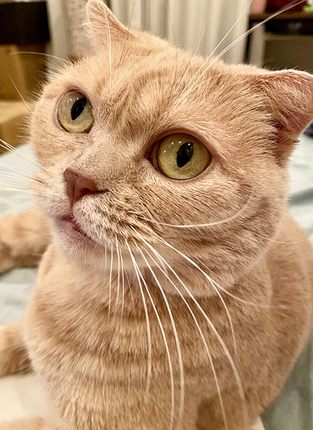 もろみちゃん顔アップ