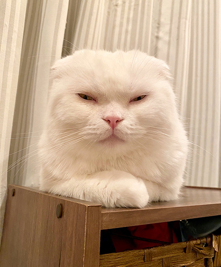 むくくんすごい顔