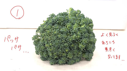 ブロッコリー 選び方 有限会社安井ファーム 比較