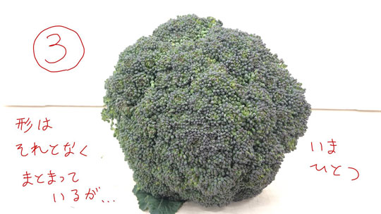 ブロッコリー 選び方 有限会社安井ファーム 比較