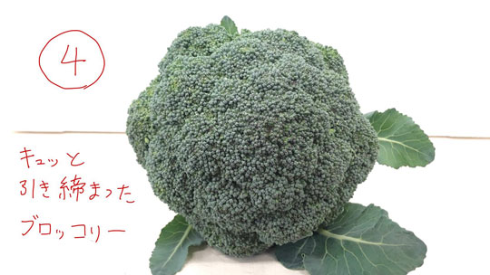 ブロッコリー 選び方 有限会社安井ファーム 比較