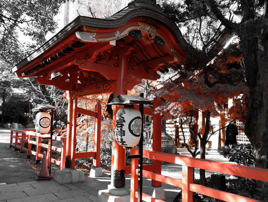 デジカメ 特定の色だけを写す フィルター 機能 写真 エモ パートカラー カメラ