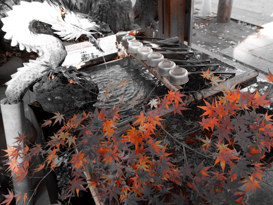 デジカメ 特定の色だけを写す フィルター 機能 写真 エモ パートカラー カメラ