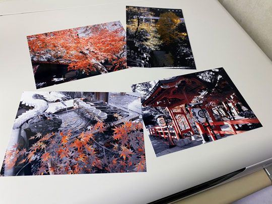 デジカメ 特定の色だけを写す フィルター 機能 写真 エモ パートカラー カメラ