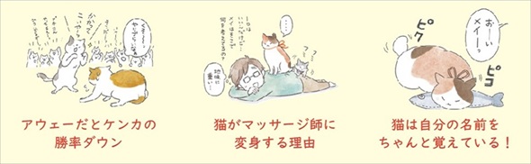 猫のヒミツ