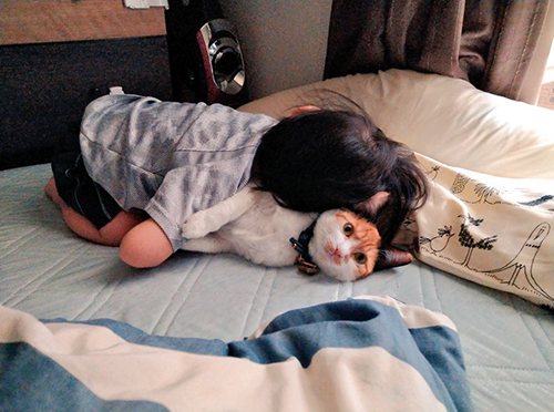 助けを求める猫ちゃん