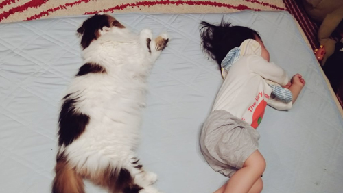 ココちゃんと息子さん