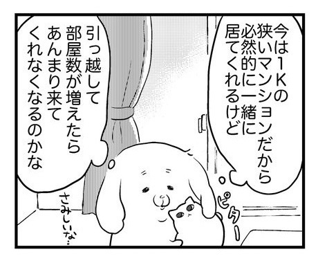 引っ越しても来てくれる猫