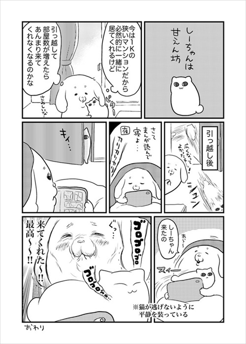 引っ越しても来てくれる猫