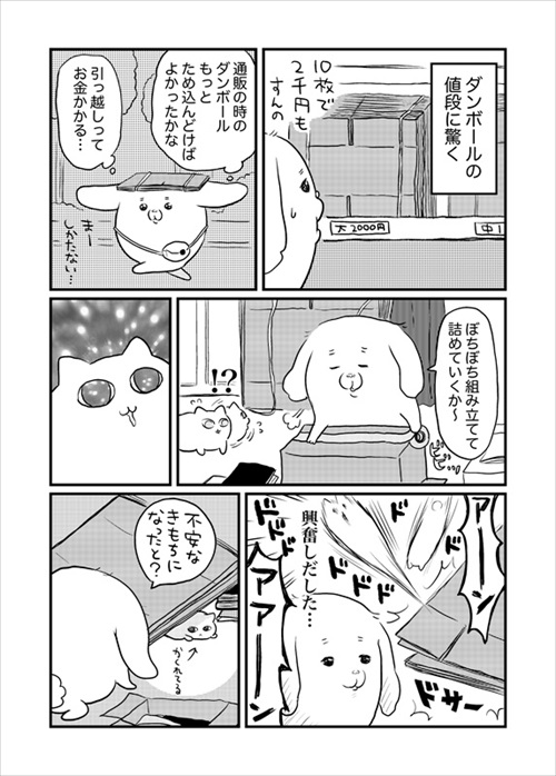引っ越しても来てくれる猫