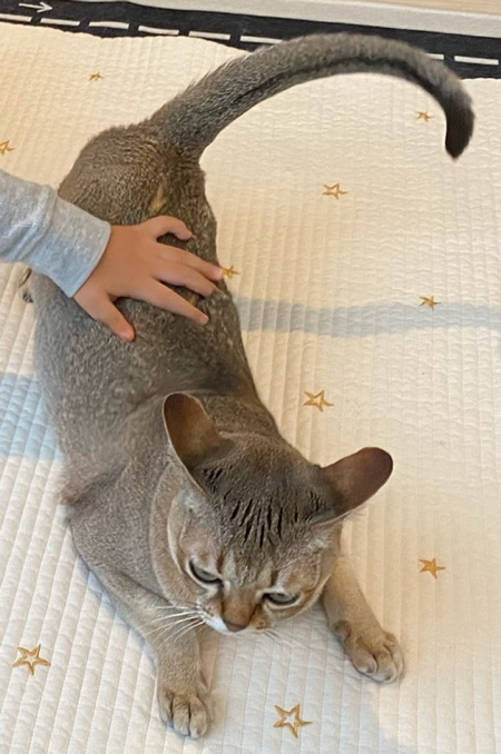 使役されるコツちゃんアップ
