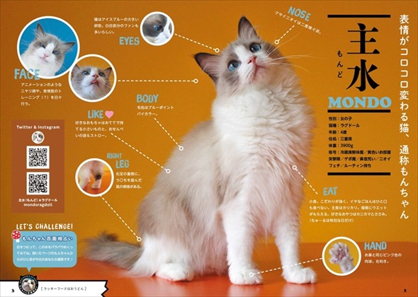 主水（もんど）の猫談