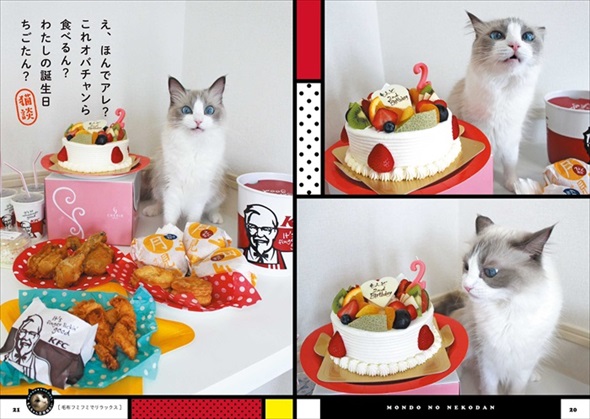 主水（もんど）の猫談