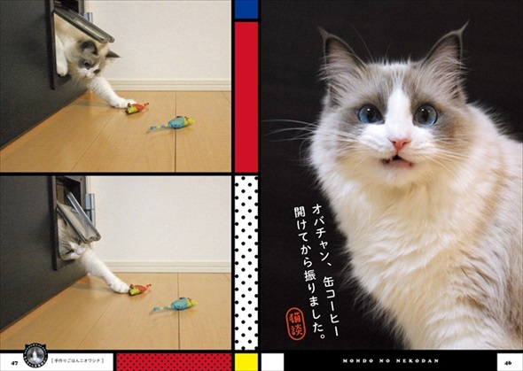 主水（もんど）の猫談
