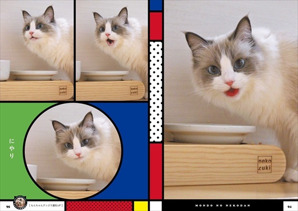主水（もんど）の猫談