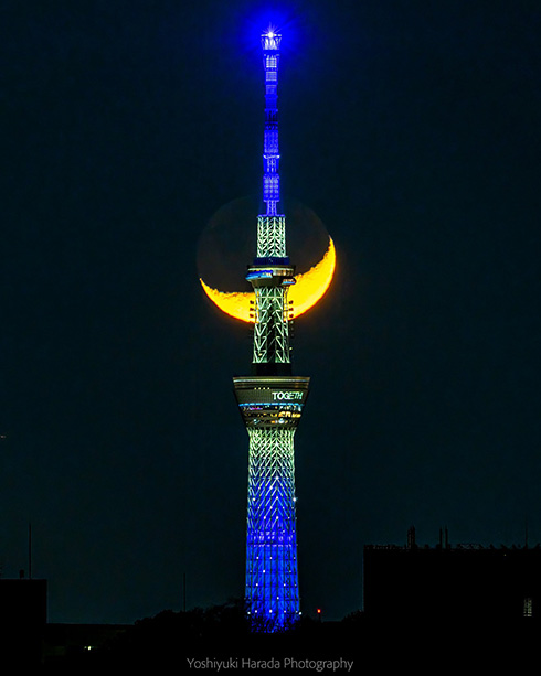 スカイツリーに重なる三日月　幻想的な瞬間を記録した写真に心を奪われる