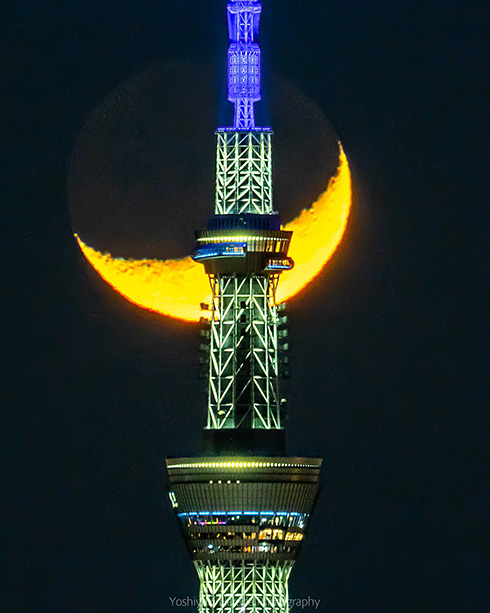 スカイツリーに重なる三日月　幻想的な瞬間を記録した写真に心を奪われる