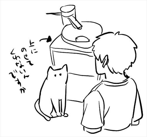 猫