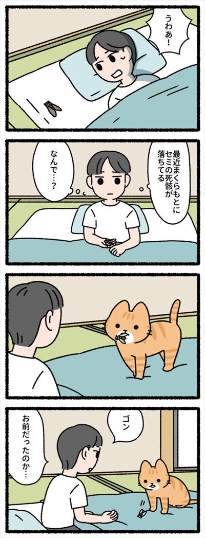 注文の多い料理店と猫