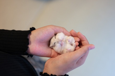 色んなぱるちゃん