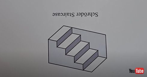 階段を上ったはずが降りていた　錯視オブザイヤー2020は日本人制作の「シュレーダーの階段」が優勝