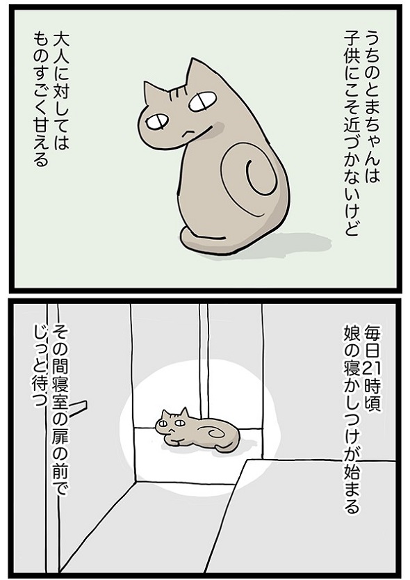 猫たちと私の日課1