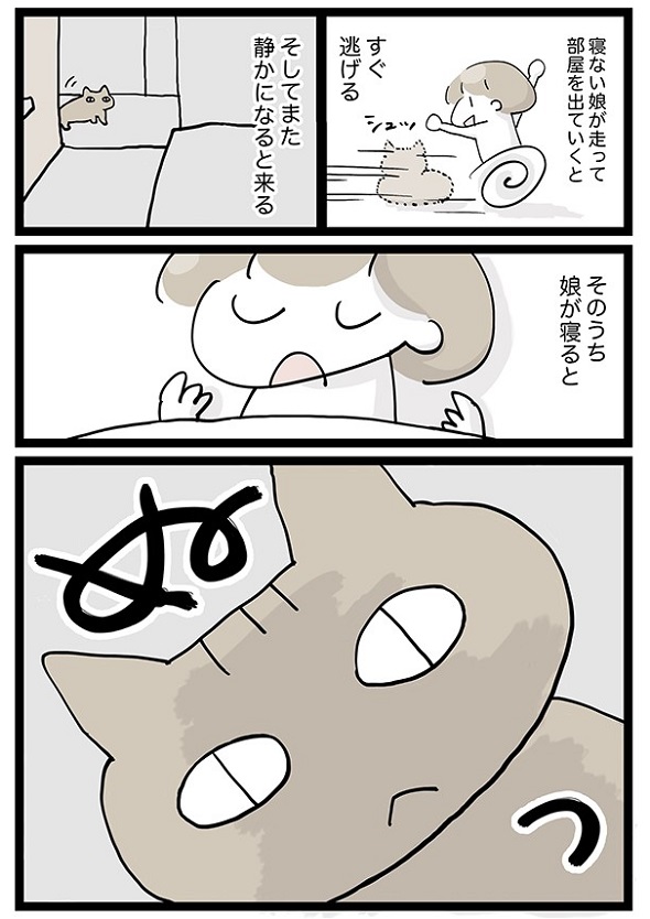 猫たちと私の日課2