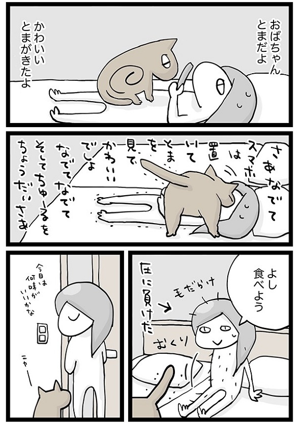 猫たちと私の日課3