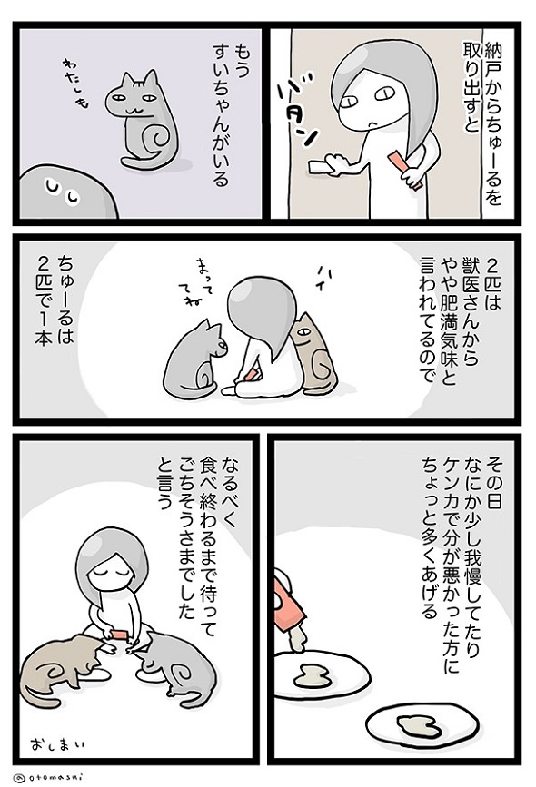 猫たちと私の日課4