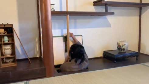 伊賀 泊まれる 忍者屋敷 からくり いがの蔵