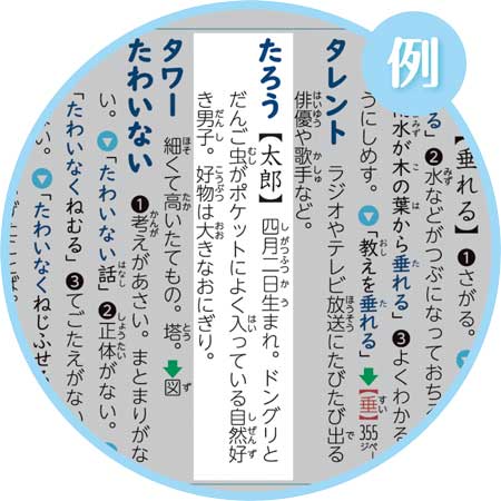 子ども 名前 入り 国語辞典 お子さまの名前が載った国語辞典 セイバン 小学館