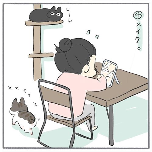 猫