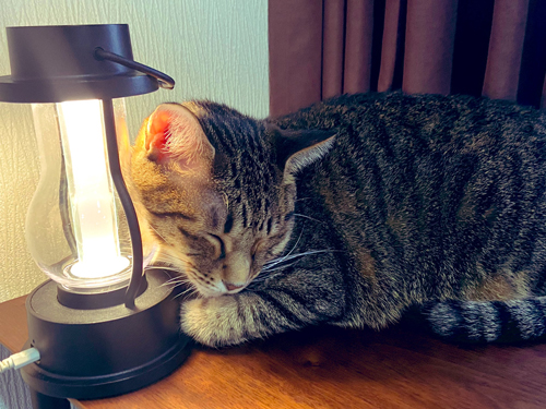 ランタンで暖を取る