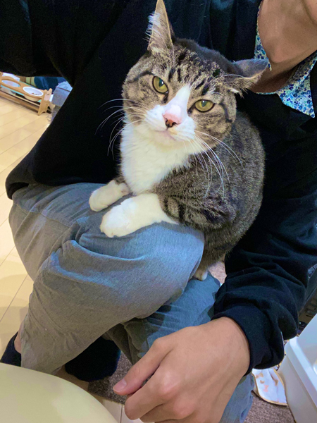 ひざにしがみつく