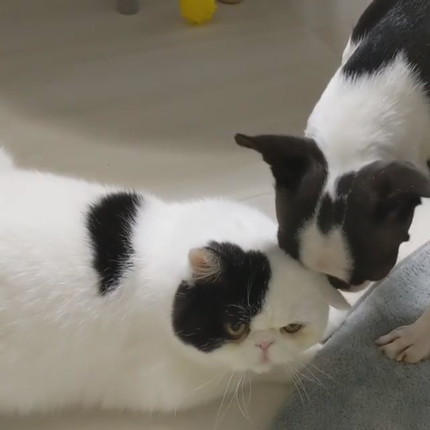 ゼロちゃんとリンちゃん