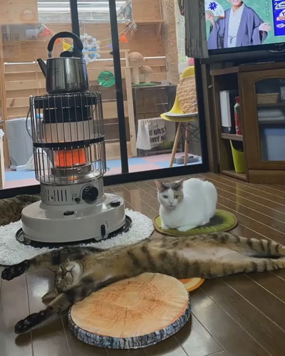 のびのびバンくん